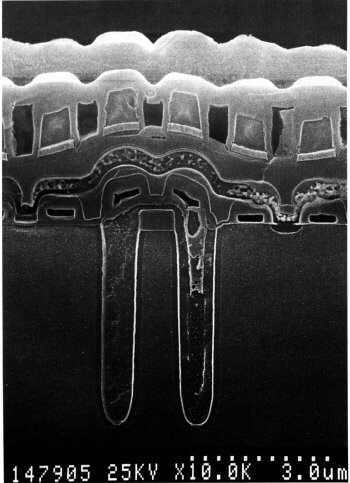 DRAM - Speicherzelle unterm Elektronenmikroskop